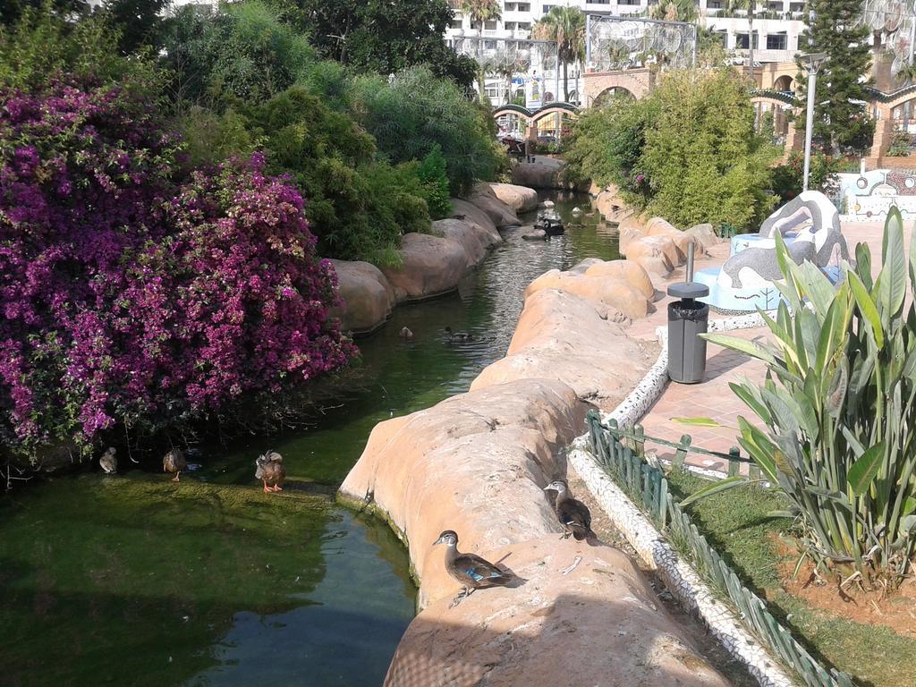 Costa Azahar Apartments Beach أوروبيسا ذيل مار الغرفة الصورة
